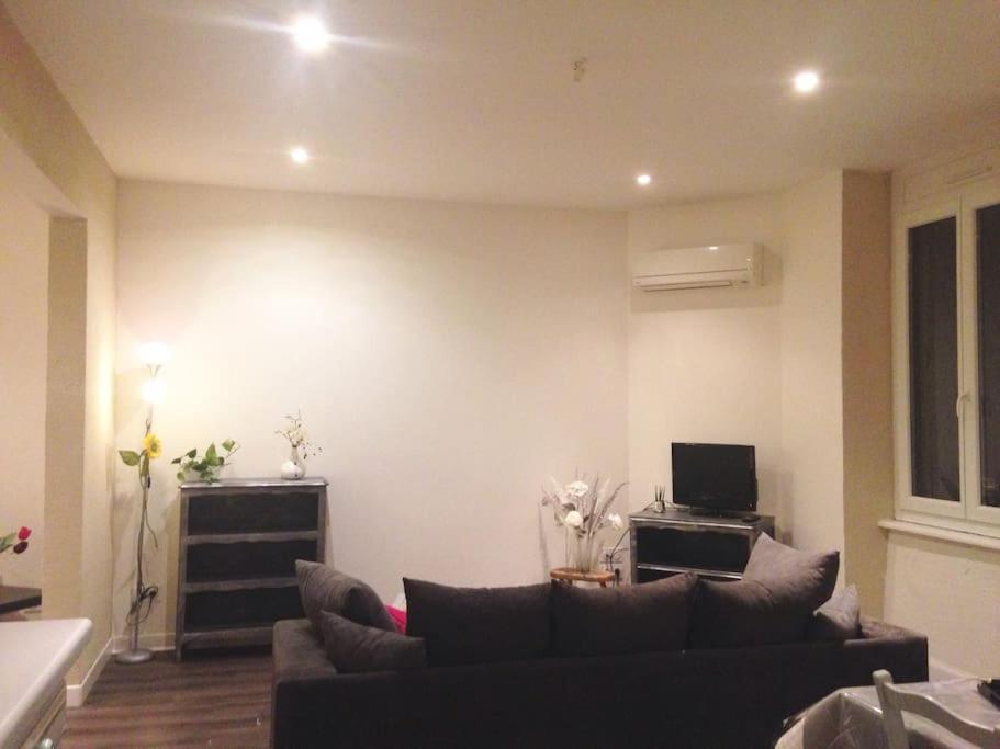 Appartement Au Calme Rodez Exterior foto